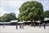 Meiji-jingu shrine 4 copy.jpg