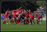 A scrum becomes a hard fought battle between the teams