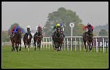Horse Race 