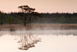 Kootwijkerveen