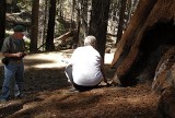 Placing the Ashes - 4.jpg
