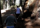 Placing the Ashes - 8.jpg