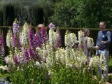 Filoli Gardens - 18.jpg