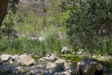 E.F Scenes - 7.jpg