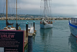 P1020713_DxO.jpg