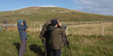 Birding at the Loch of Spiggie, Mainland, Shetland
