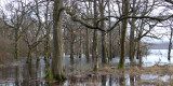 Winter floods at Ross Park, west Loch Lomond