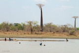 Children playing and fishing