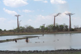 Children playing and fishing