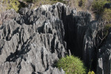 View of the limestone karst at Little Tsingy