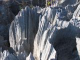 View of the limestone karst at Great Tsingy