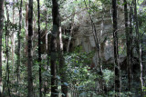 Birding in one of the gullies at Great Tsingy