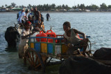 Zebu carts are used to get people and supplies to the boats