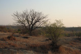 Roadside view between Toliar and Zombitse