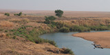 Grasslands between Isalo and Fianarantsoa