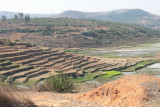 Roadside view near Fianarantsoa