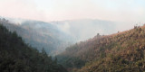 One of many forest fires Fianarantsoa and Ranomafana