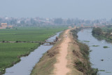 Paddy fields right in the town, Tana