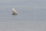 Boat on the Betsiboka Estuary
