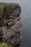 The sea cliffs on Handa Island