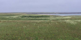 View of Oronsay