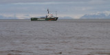 Greenpeace ship in the Isfjorden