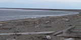 The Walrus beach at Poolepynten, Savlbard
