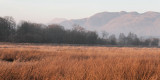 Ben Lomond and the Conic Hill from Wards Pond