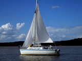 Office Cruise3.jpg