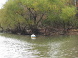 lake-tom10-15IMG_1706.jpg