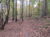 lake-tom10-15IMG_1709.jpg