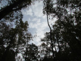 lake-tom10-15IMG_1711.jpg