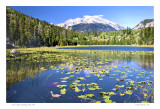 Cub Lake