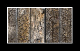 Worm eaten siding