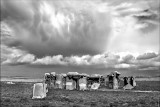 Carhenge at Alliance,  NE