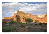 Corral at daybreak