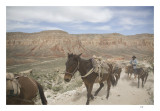 Dusty trail