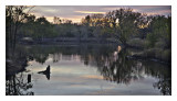 Last light of the day