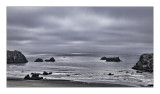 Overcast morning, Bandon