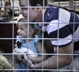 Petting Zoo at the fair
