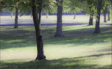 Fall weather