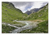 Mountain Stream