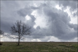 Imminent  Thunderstorm