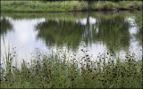 Great Plains Nature Center 