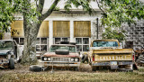 Derelict Trucks