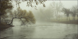 Thick Fog