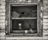 Kitchen  Window