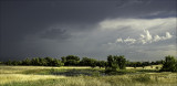 Pond, Sedgwick County