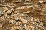 Gypsum Outcrop