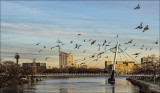 Arkansas River View of City